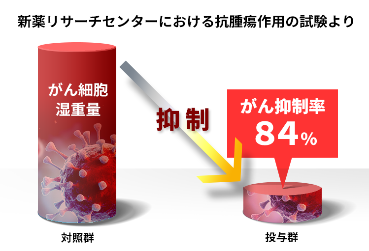 抗腫瘍作用試験の詳細はこちら